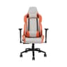 DK2 Pro Premium Gaming Chair – Durable Build, Ultimate Comfort & Supportive Ergonomics | Ideal for Extended Gaming or Office Use | Customizable Recline & Height | High-Resilience Foam Cushioning