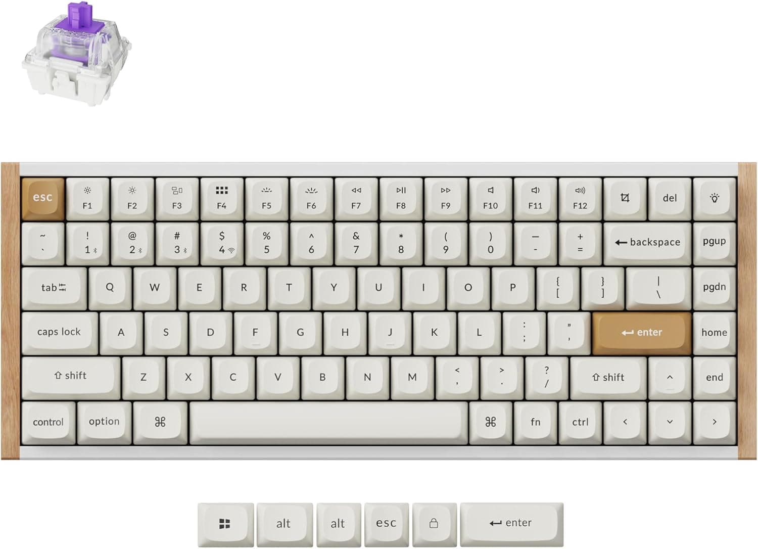 Keychron K2 HE Wireless Mechanical Keyboard Special Edition | 75% Compact Layout | Magnetic Hall Effect Switches | RGB Backlight with Multiple Effects | 4000mAh Battery (Up to 200H Backlight Off)